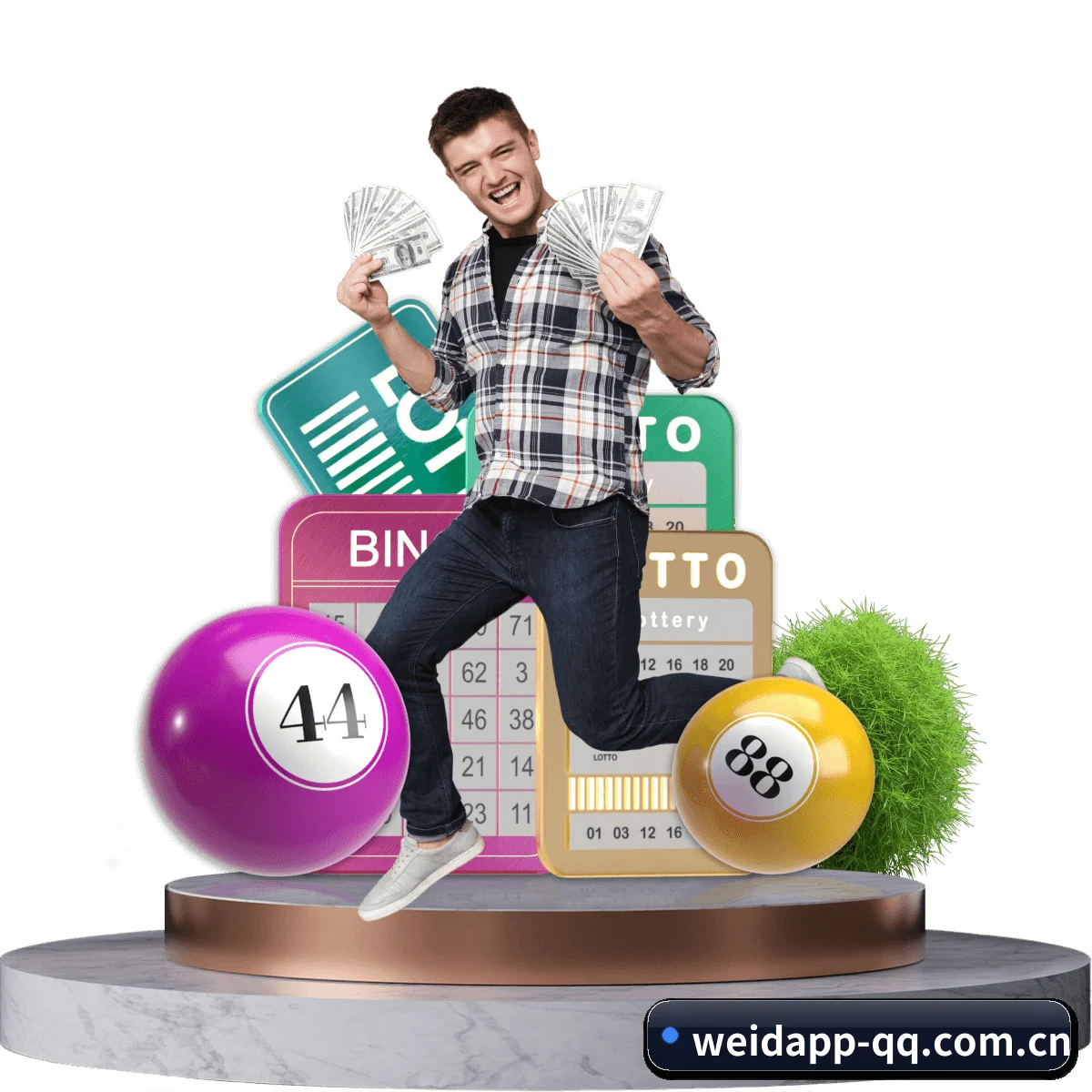 韦德app APP